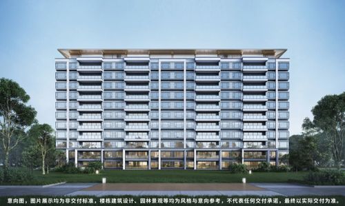 都在 抢业绩 ,它为何专注着开实景展示区