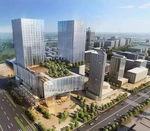超越南京 青岛,比肩阿尔及利亚 杭州再次被全世界瞩目